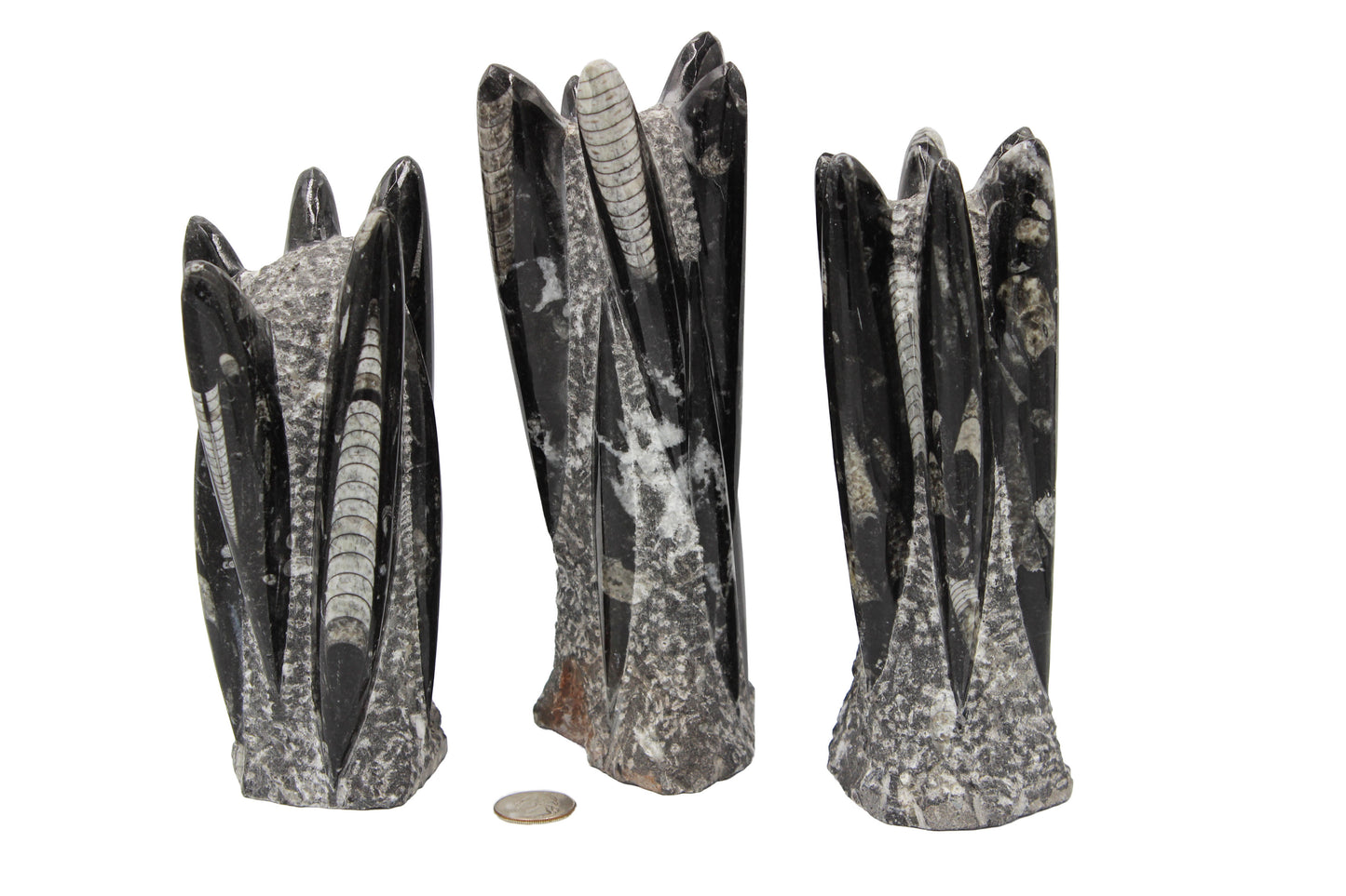Orthoceras Tower