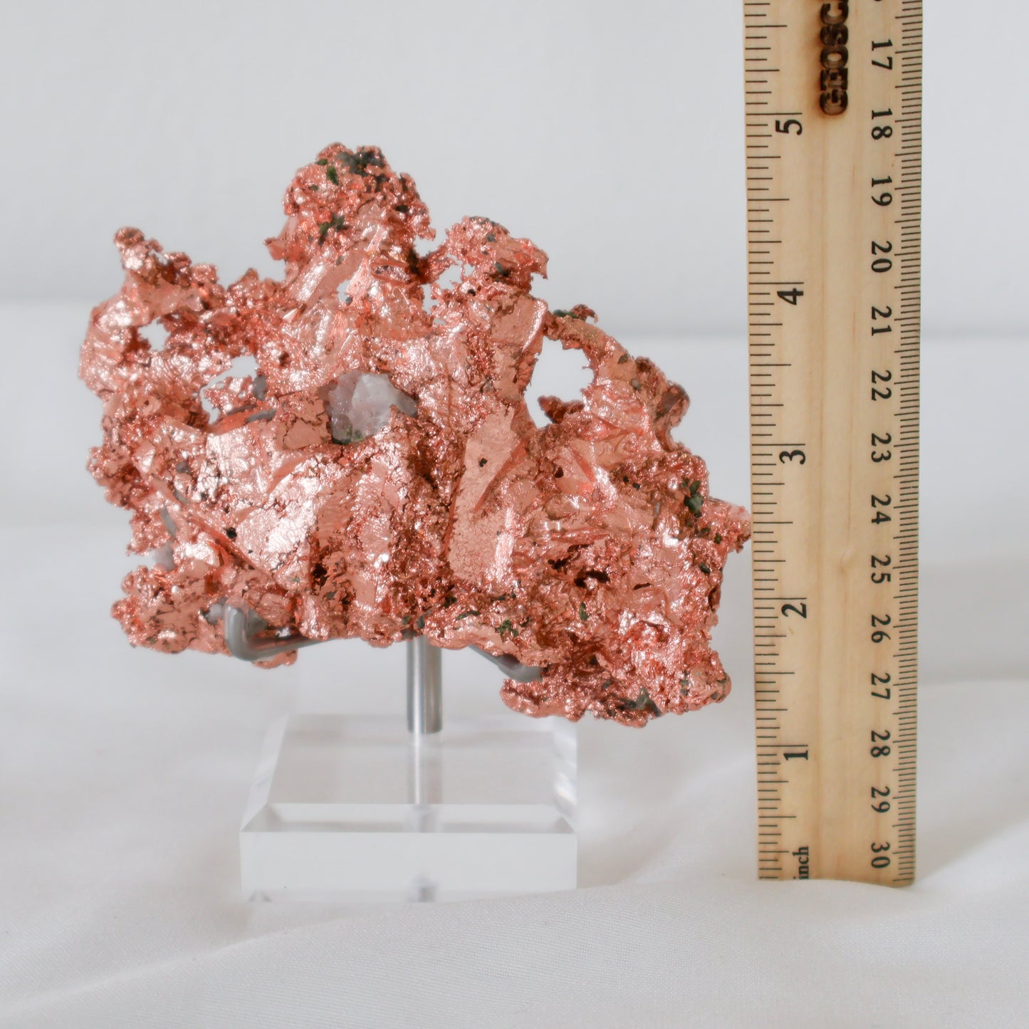 Limited Edition Michigan Copper Specimen Large