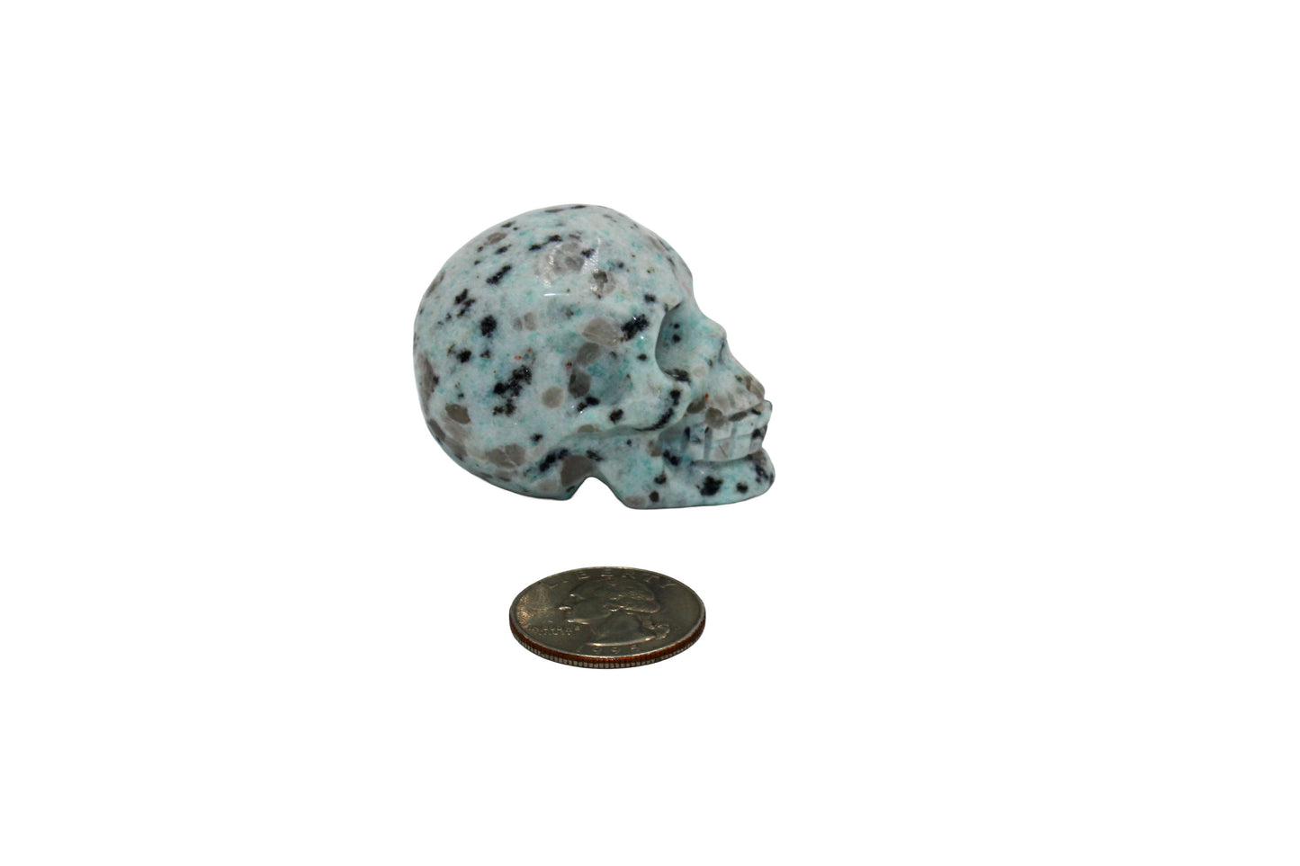 Kiwi Jasper Skull