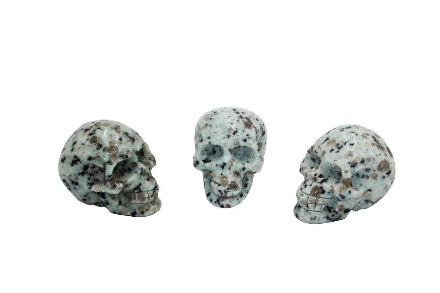 Kiwi Jasper Skull