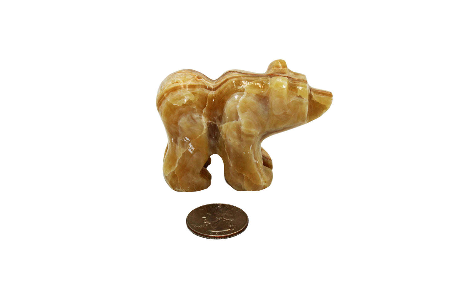 Onyx Bear