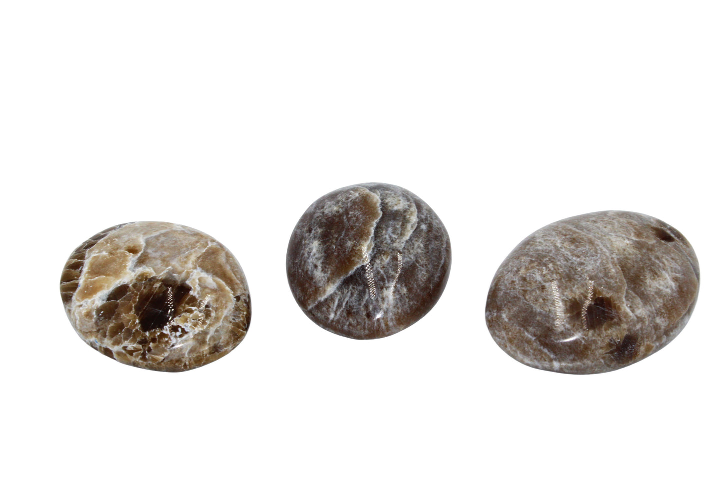 Aragonite Palm Stone