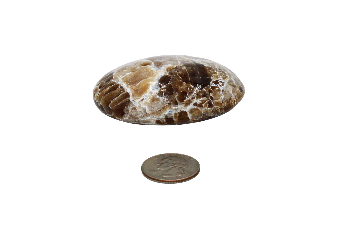 Aragonite Palm Stone