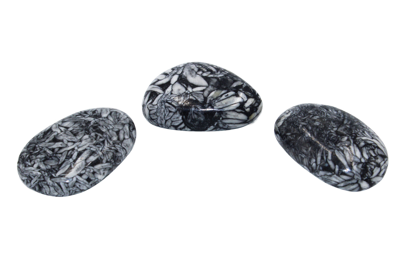 Pinolith Palm Stone