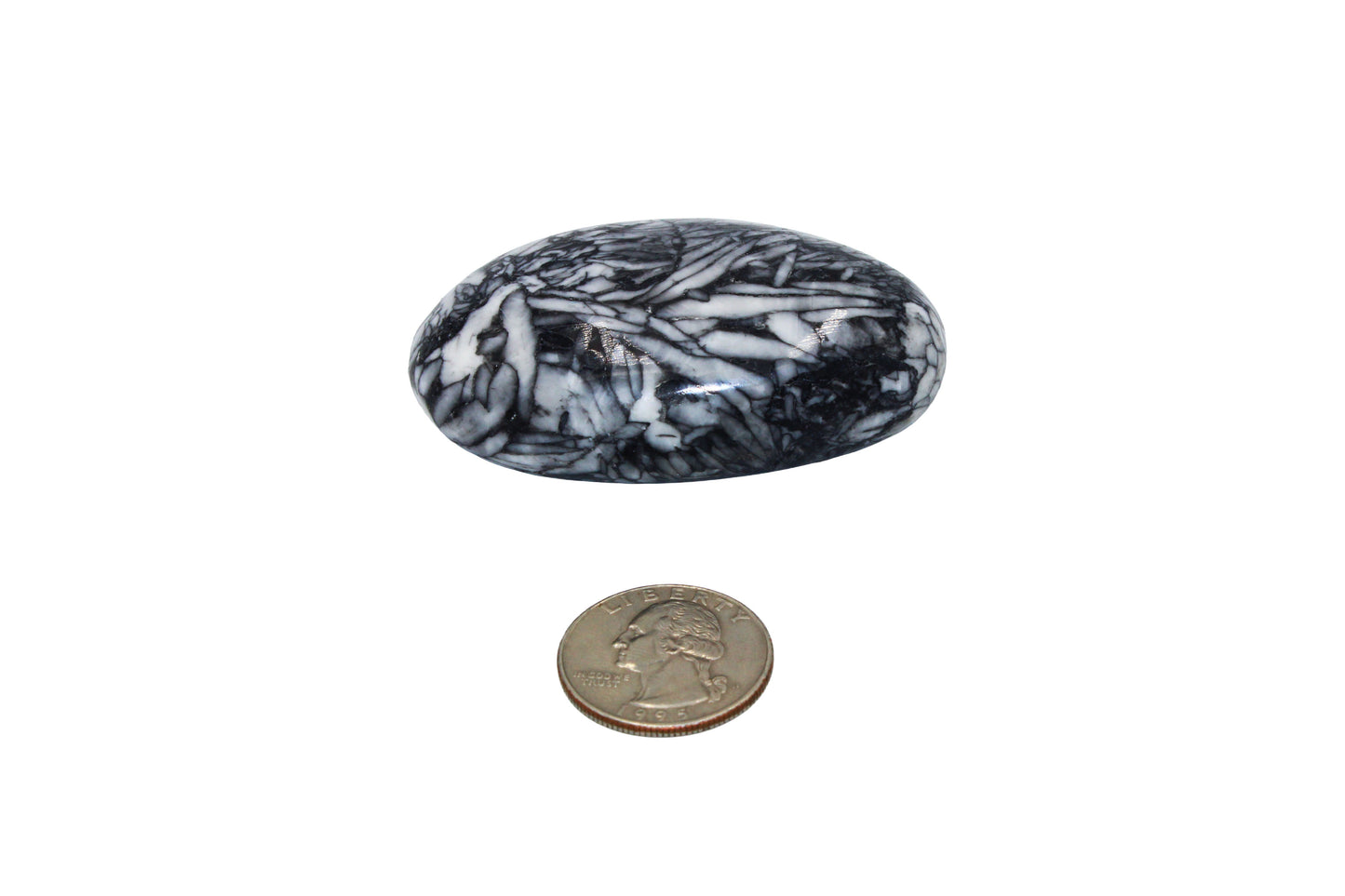 Pinolith Palm Stone