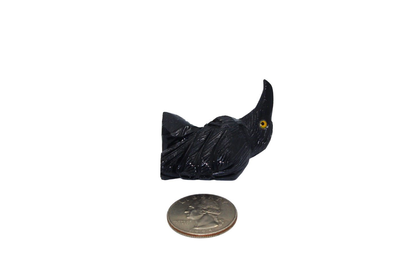 Black Onyx Raven