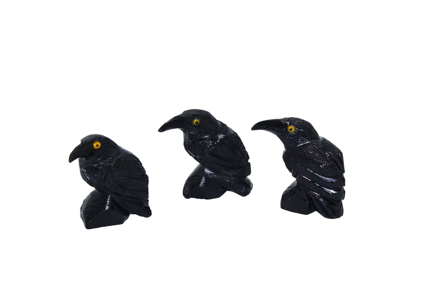 Black Onyx Raven