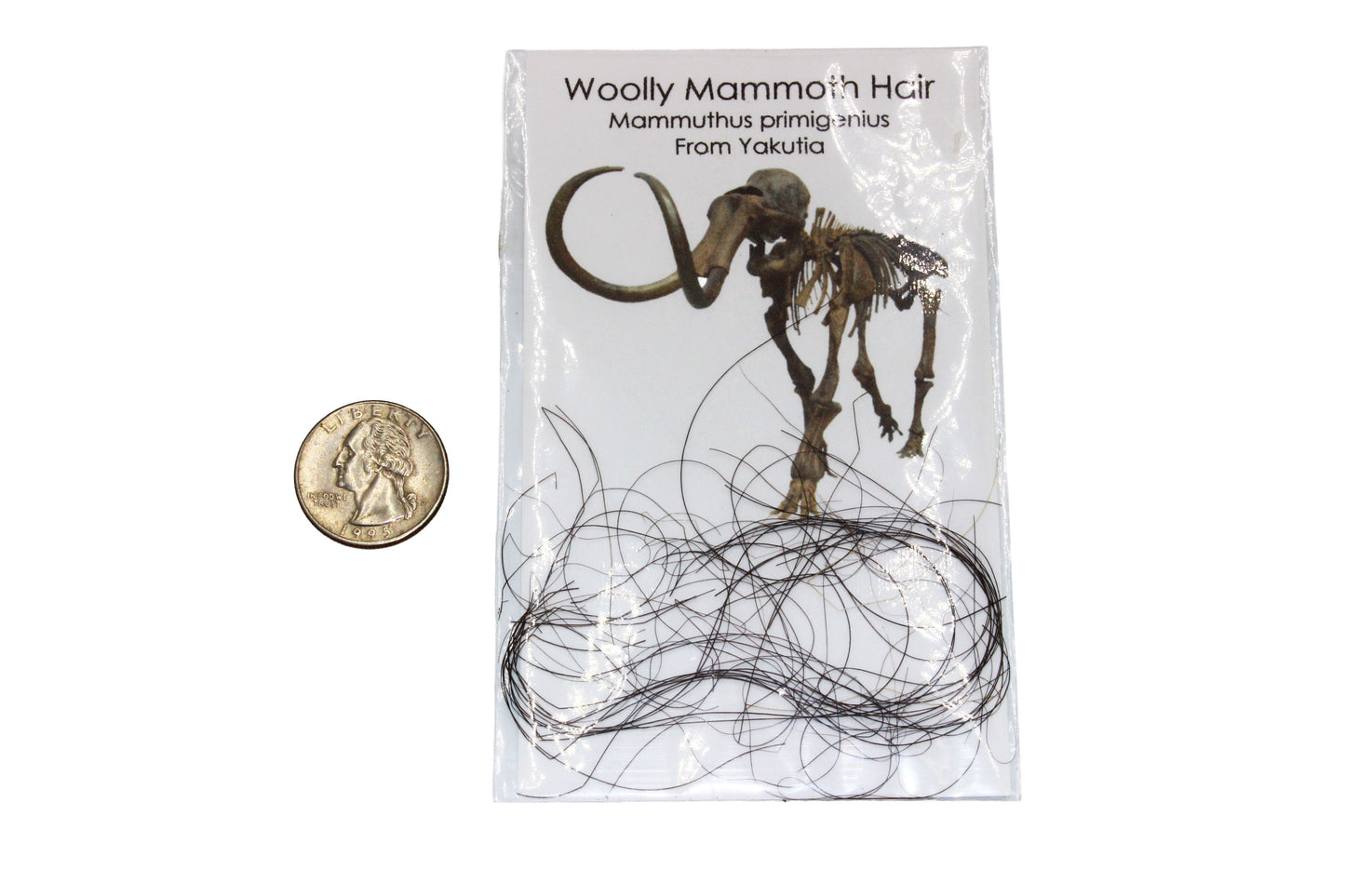 Woolly Mammoth Hair