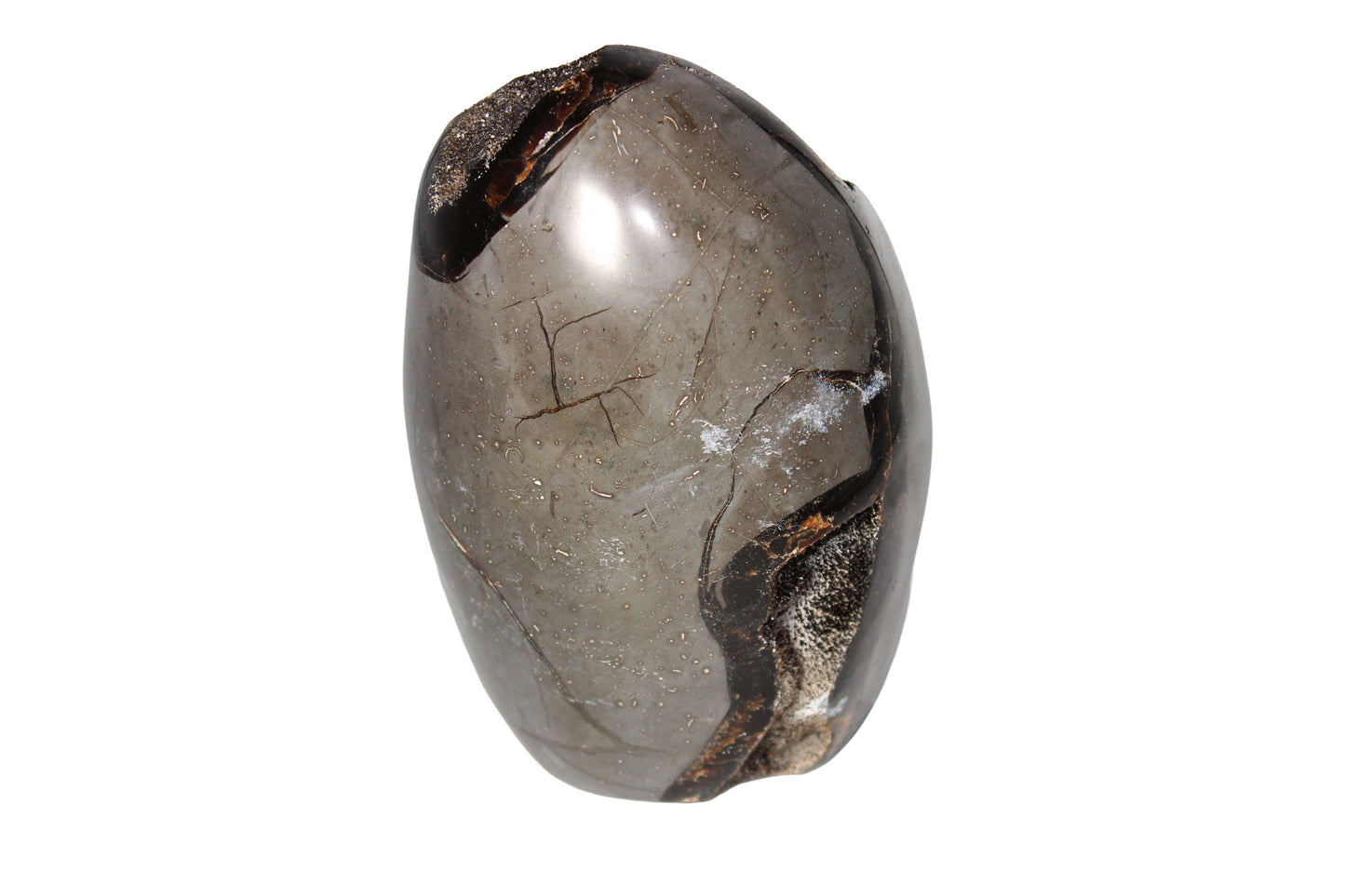 Septarian Dragon Egg Stone Large