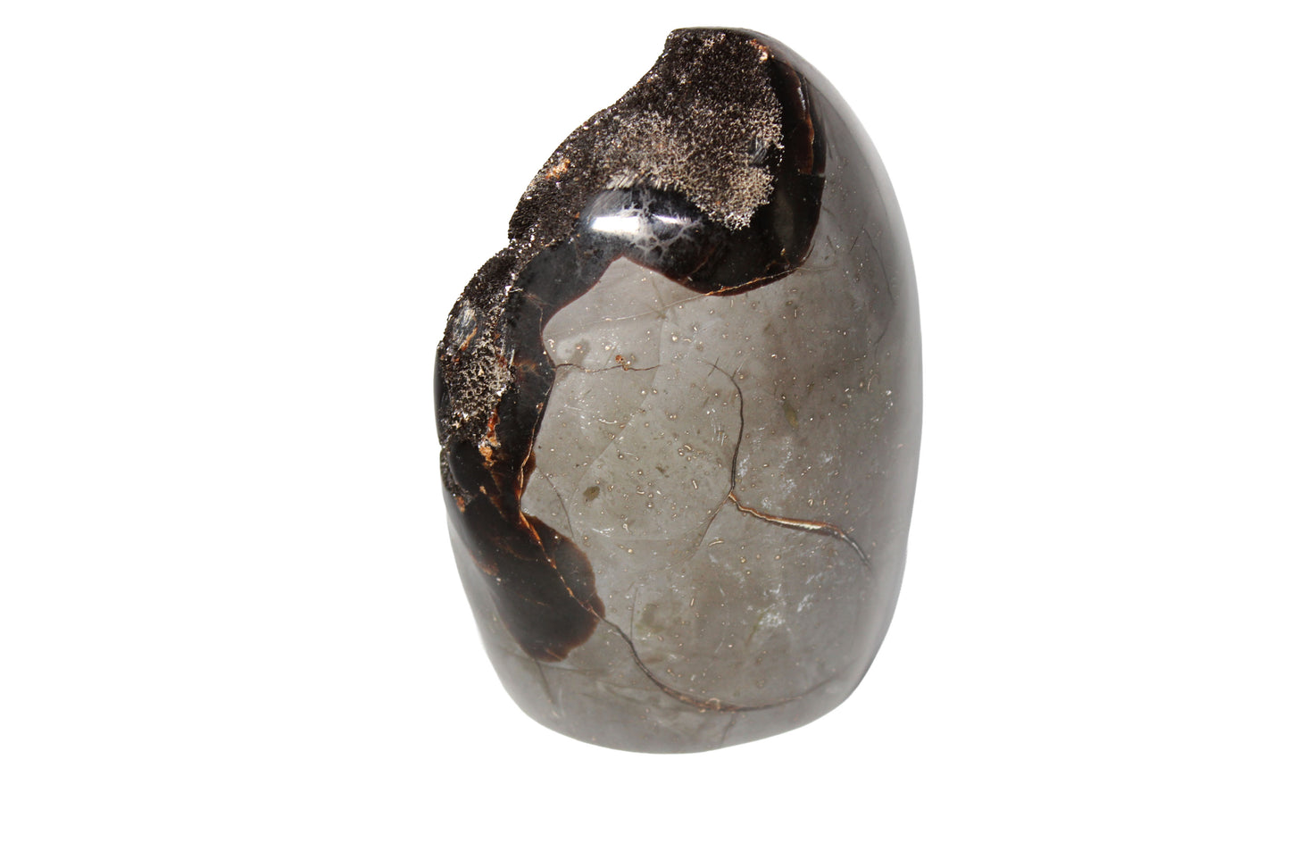 Septarian Dragon Egg Stone Large
