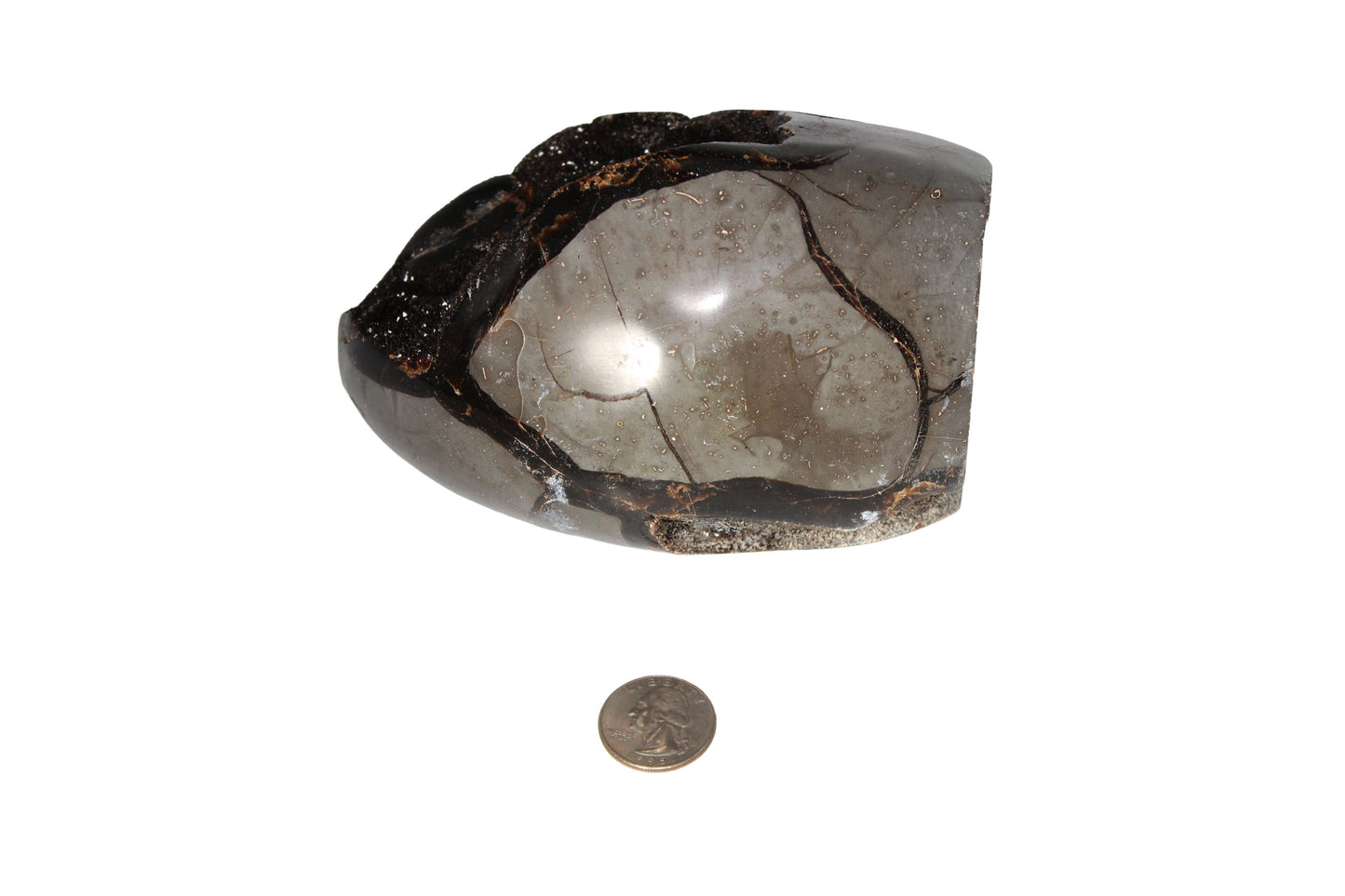 Septarian Dragon Egg Stone Large