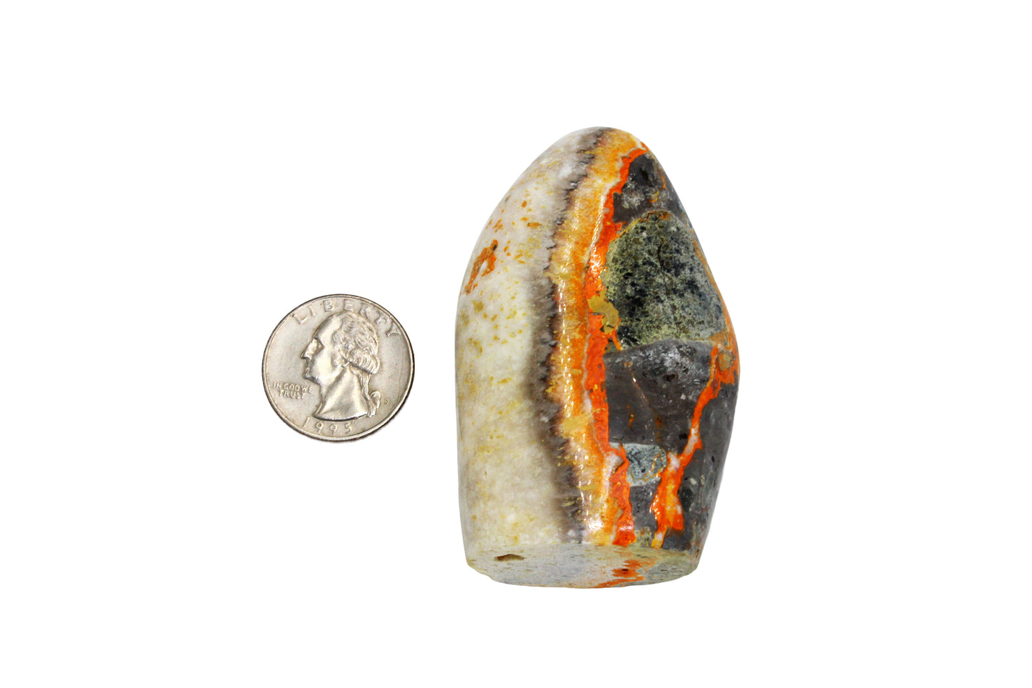 Bumblebee Jasper Freeform Large