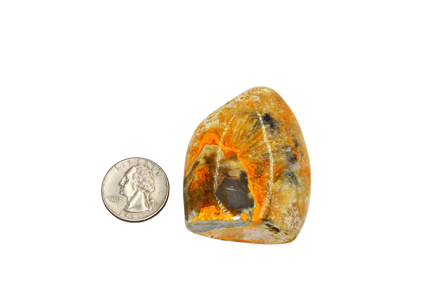Bumblebee Jasper Freeform Small