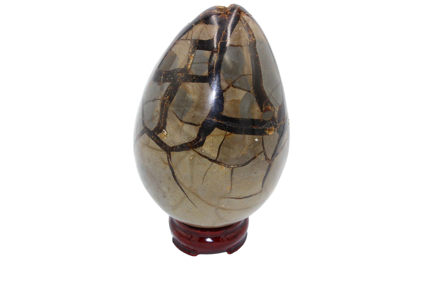 Septarian Dragon Egg Stone Large