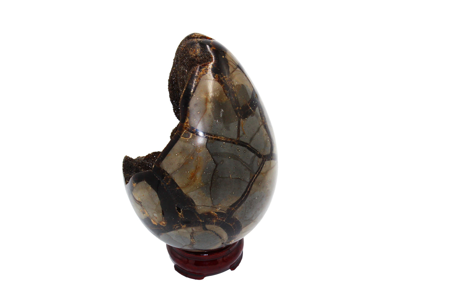 Septarian Dragon Egg Stone Large