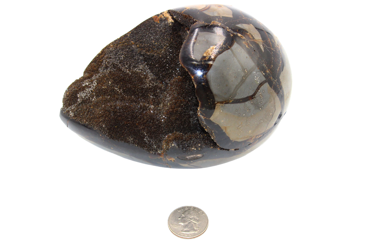 Septarian Dragon Egg Stone Large