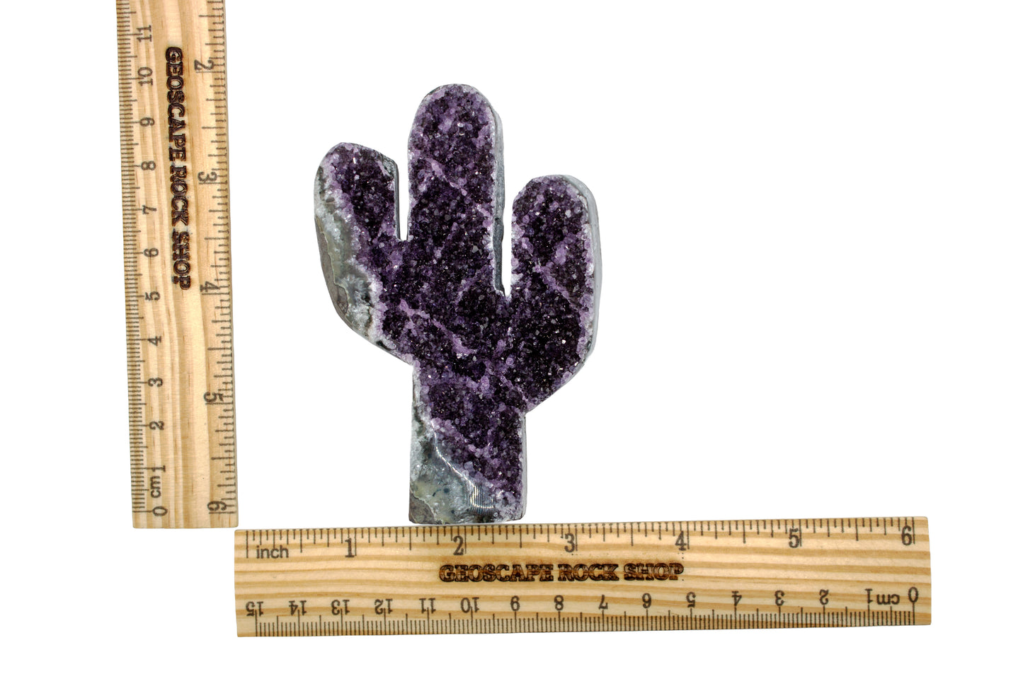 Amethyst Shape Cactus