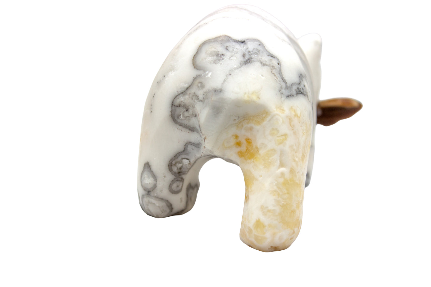 Mexican Onyx Bear with Fish