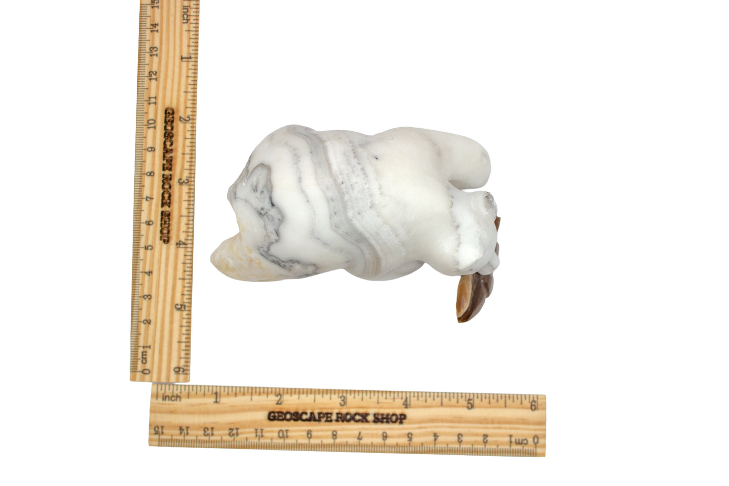 Mexican Onyx Bear with Fish