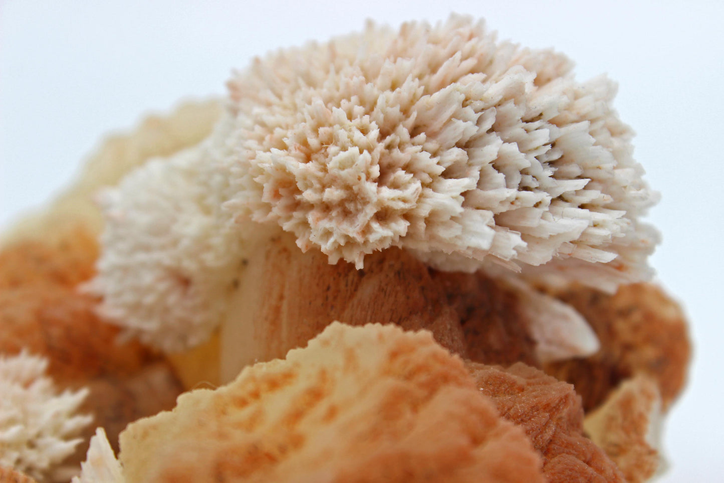 Freeform Scolecite with Stilbite