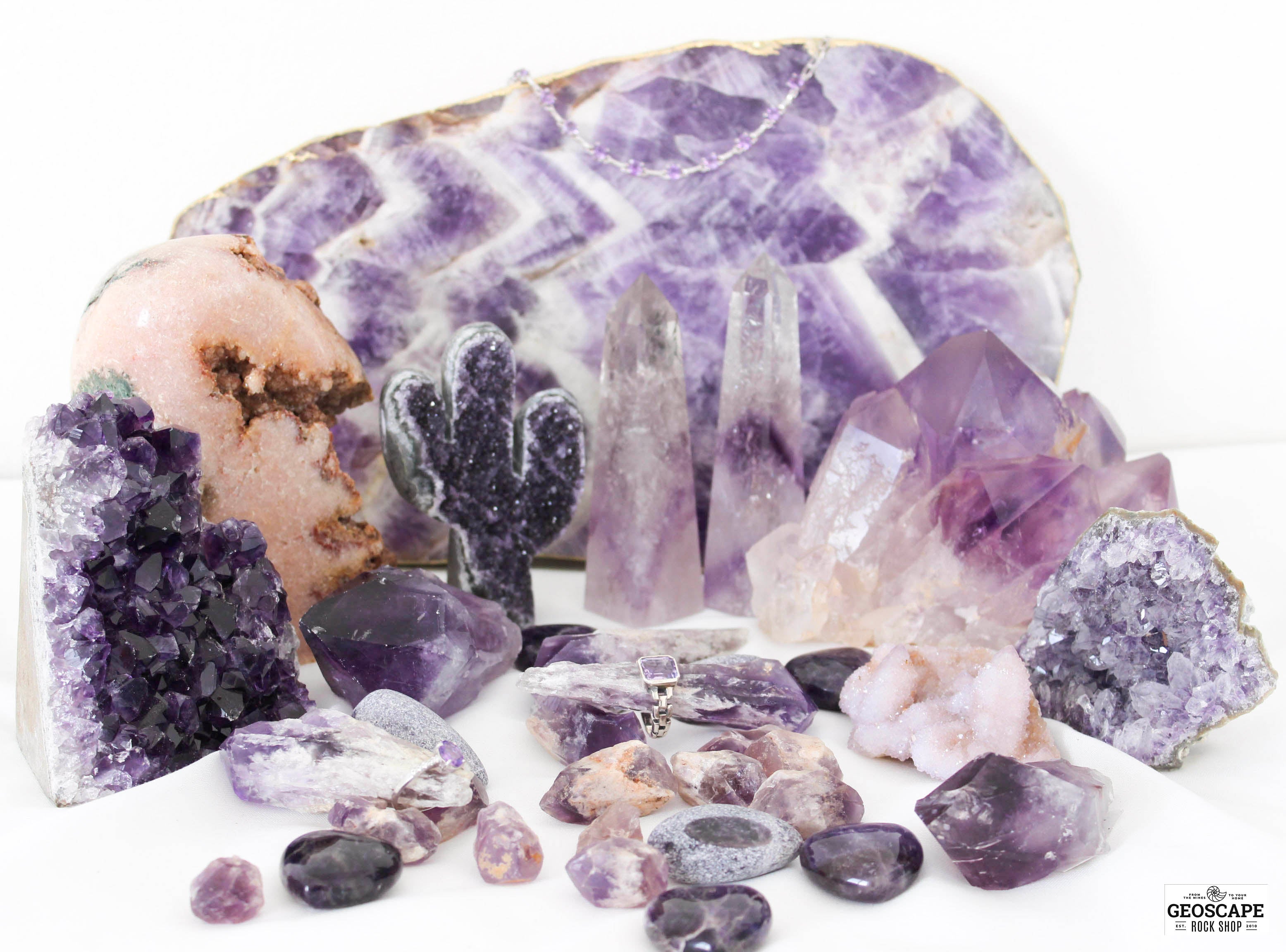 Ammonite – Geoscape Rock Shop