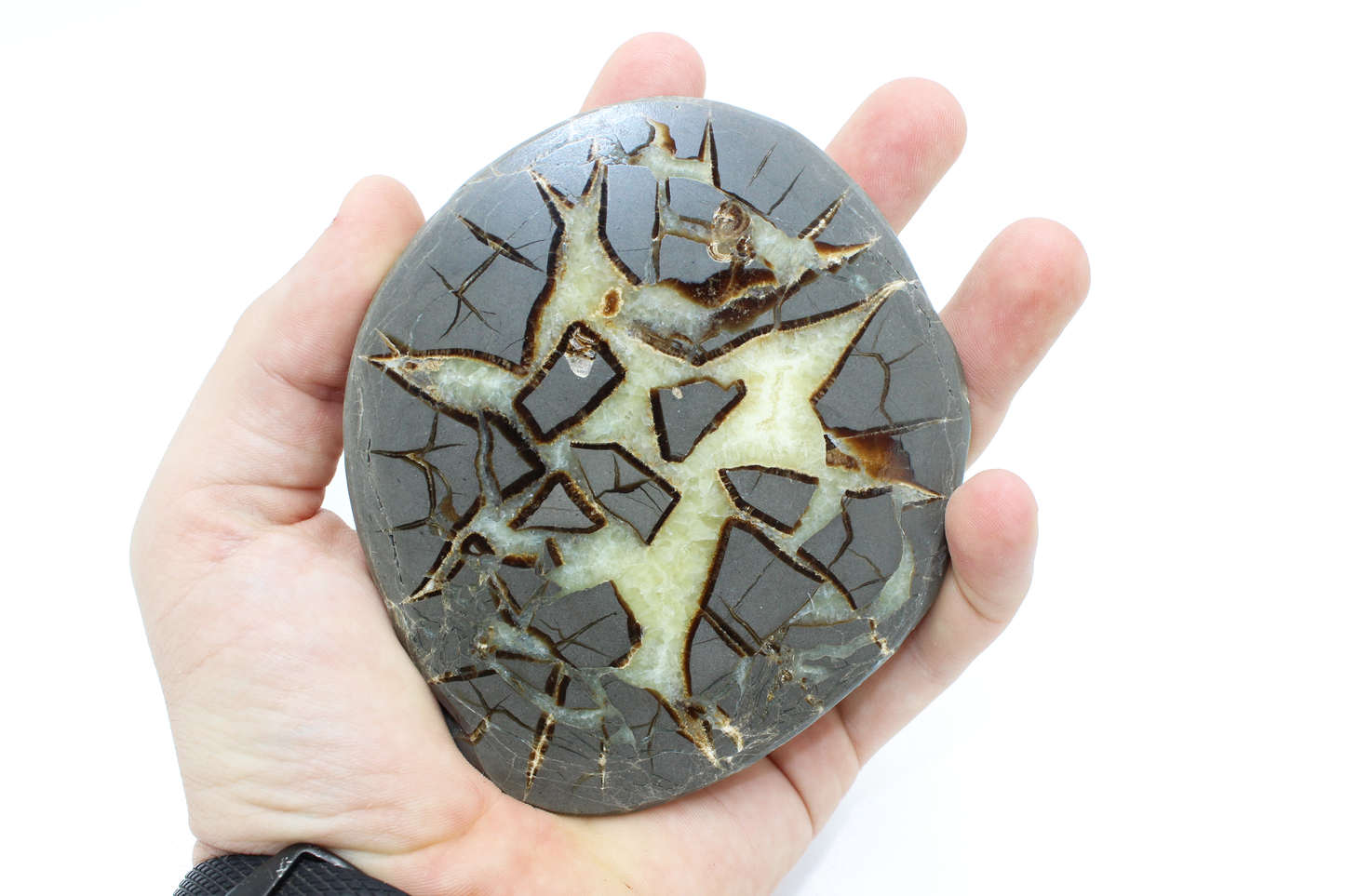 Utah Septarian Slab - A