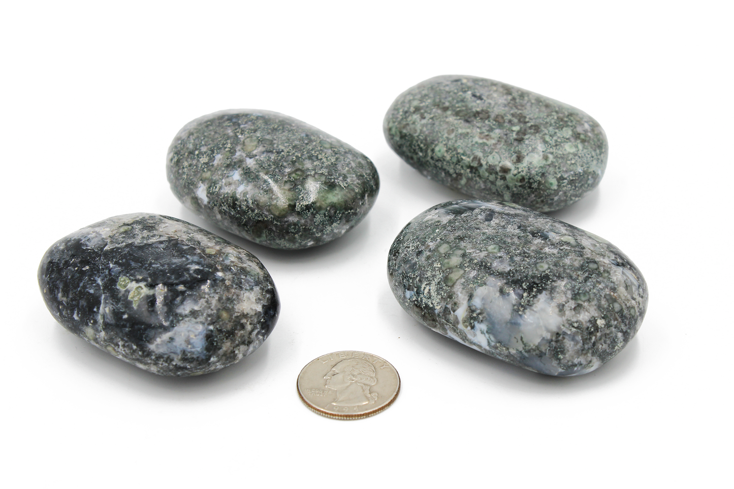 Moss Agate Palm Stone