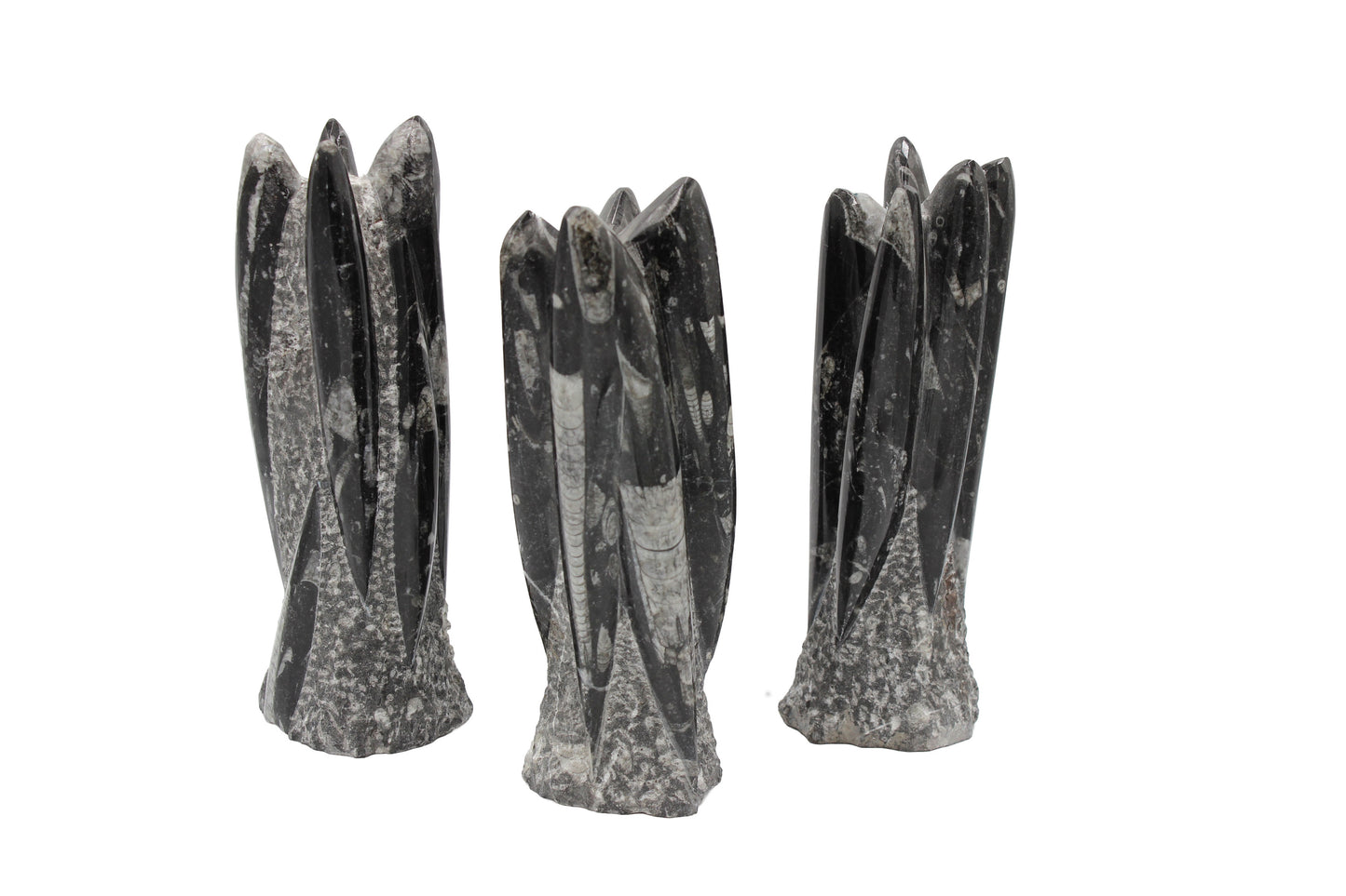 Orthoceras Tower