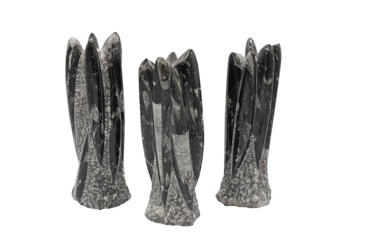 Orthoceras Tower