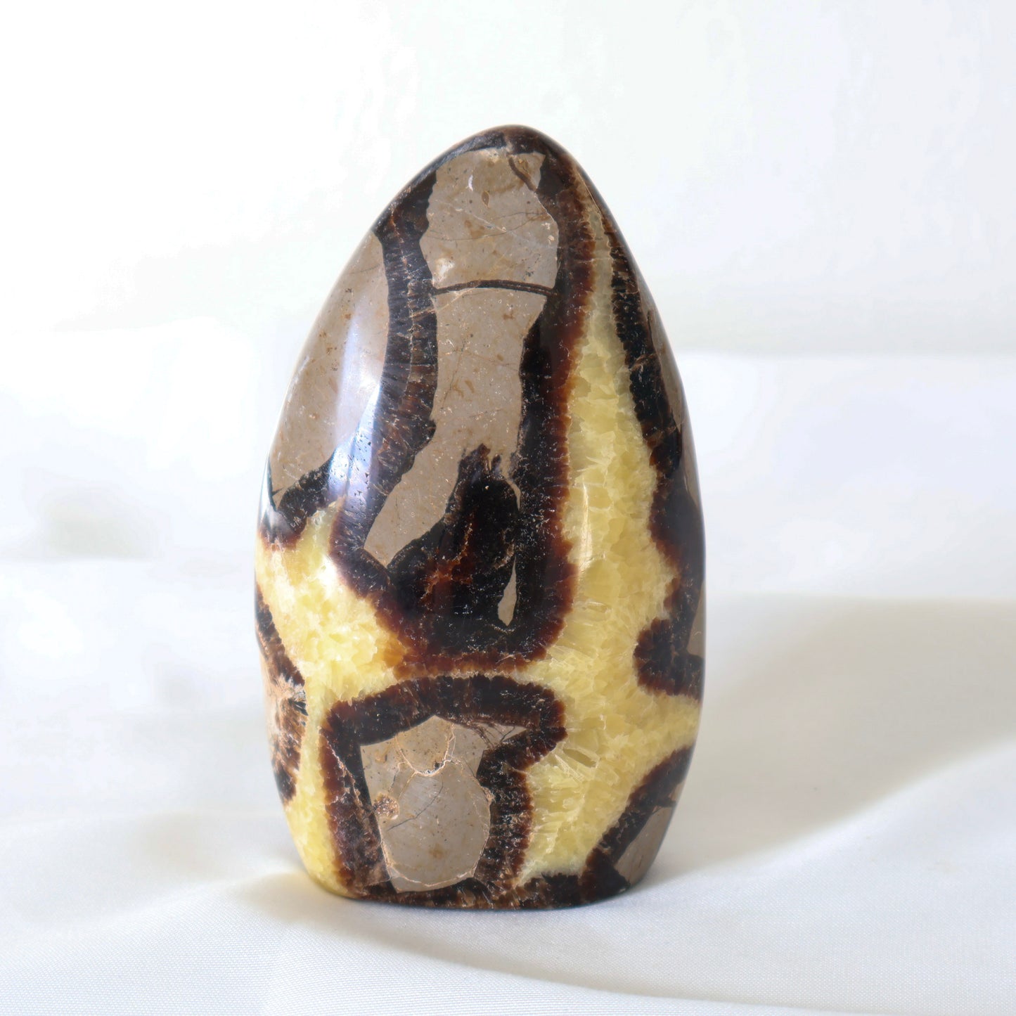 Freeform Septarian A