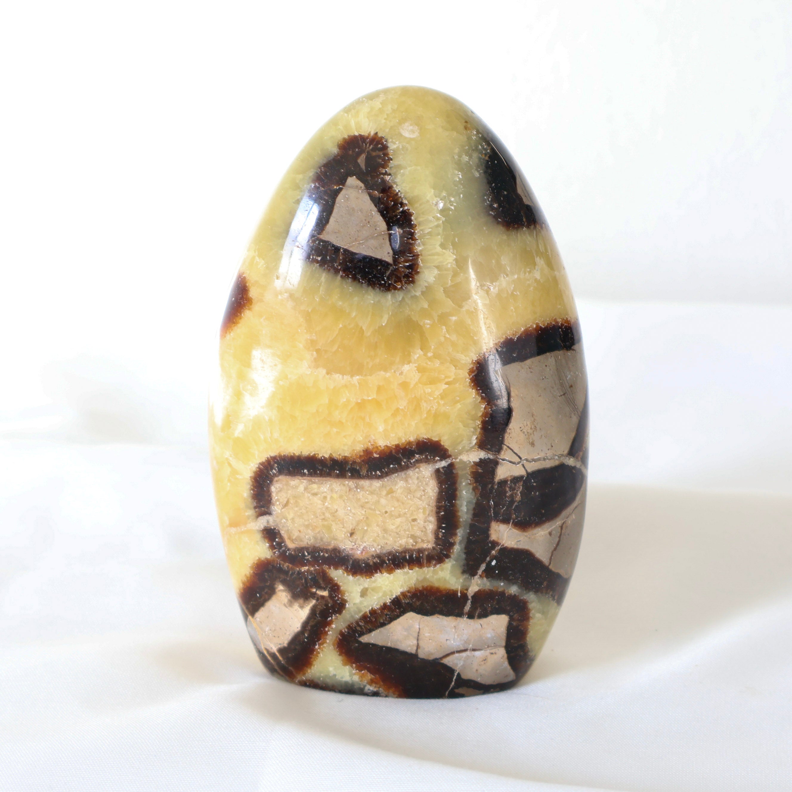 Freeform Septarian B – Geoscape Rock Shop