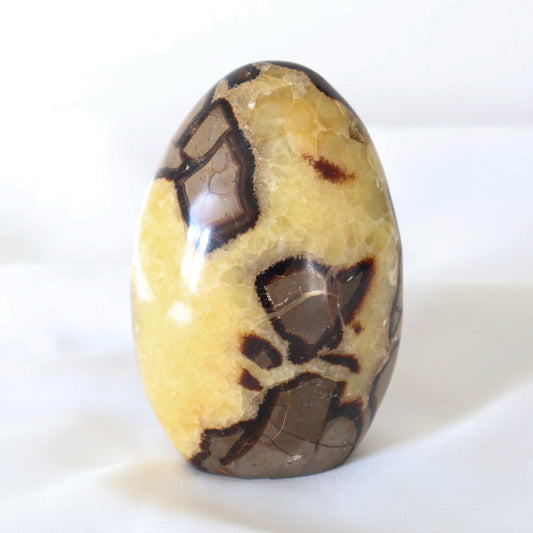 Septarian C