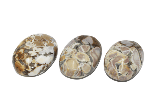 Spotted Agate Palm Stone