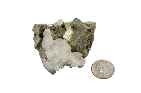Pyrite with Minerals -C