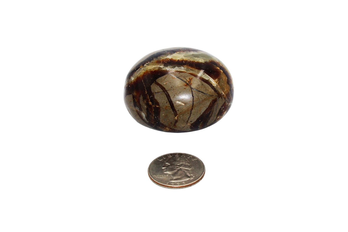 Septarian Dragon Egg Palm Stone