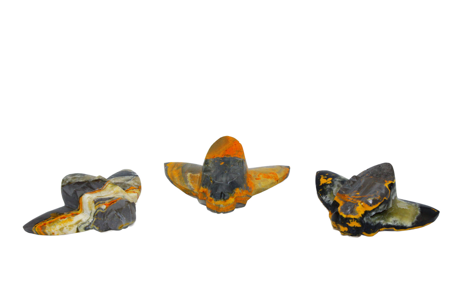 Bumblebee Jasper Bee