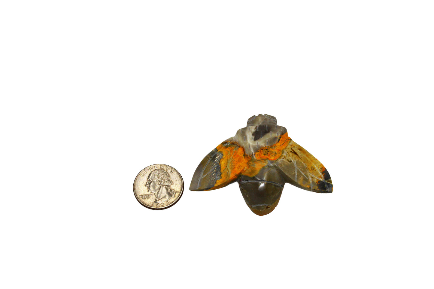 Bumblebee Jasper Bee