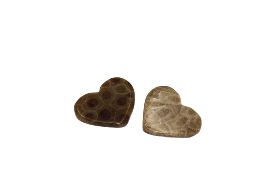 Petoskey Heart Carving