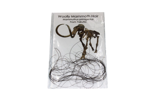 Woolly Mammoth Hair