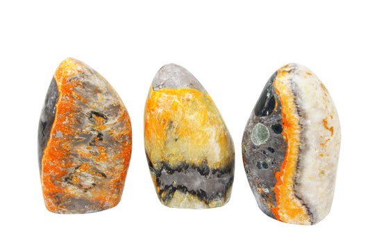 Bumblebee Jasper Freeform  Large
