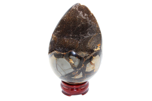 Septarian Dragon Egg Stone Large