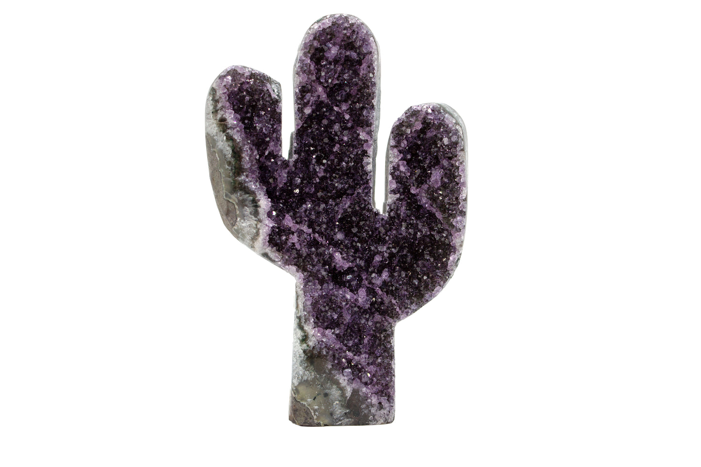 Amethyst Shape Cactus