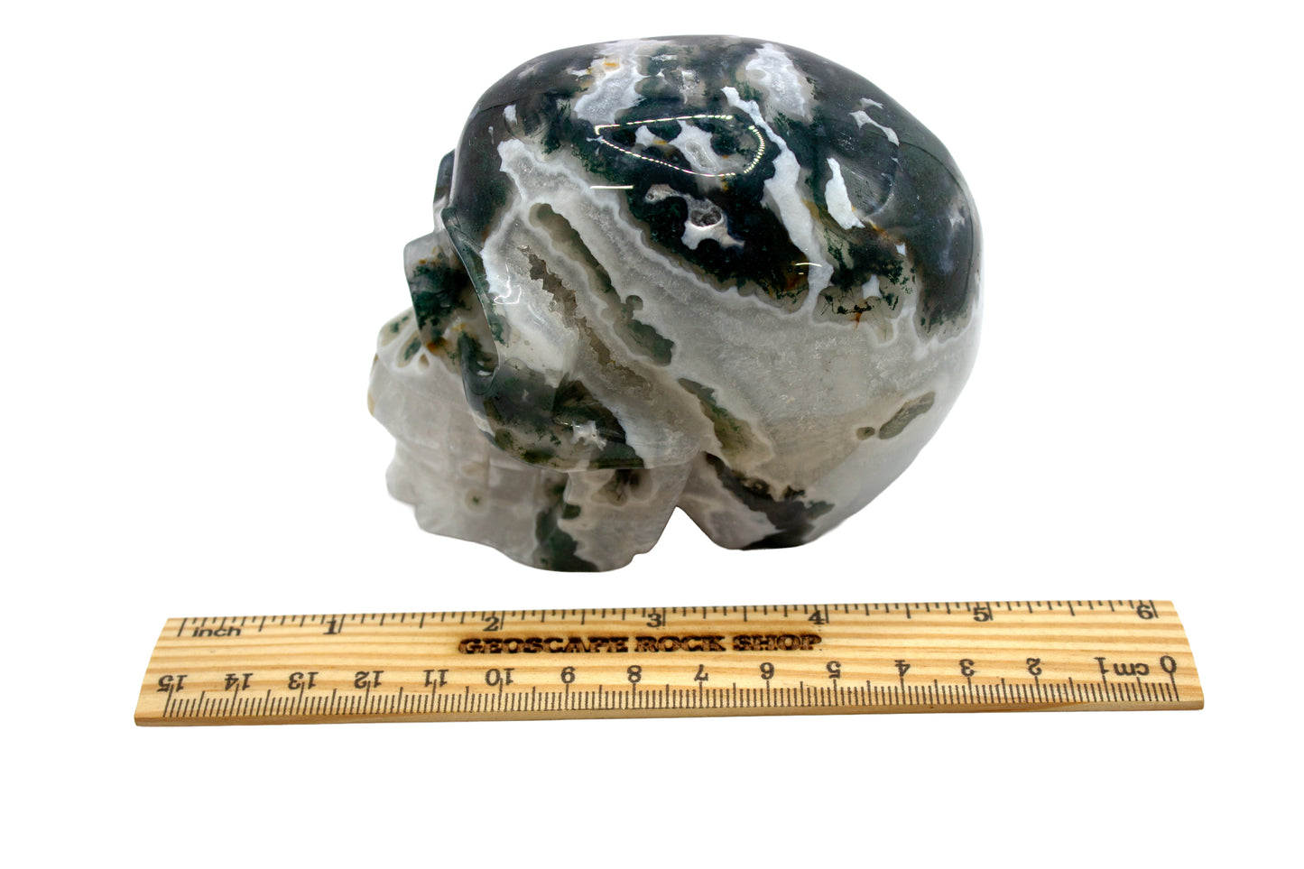 Moss Tree Agate Skull