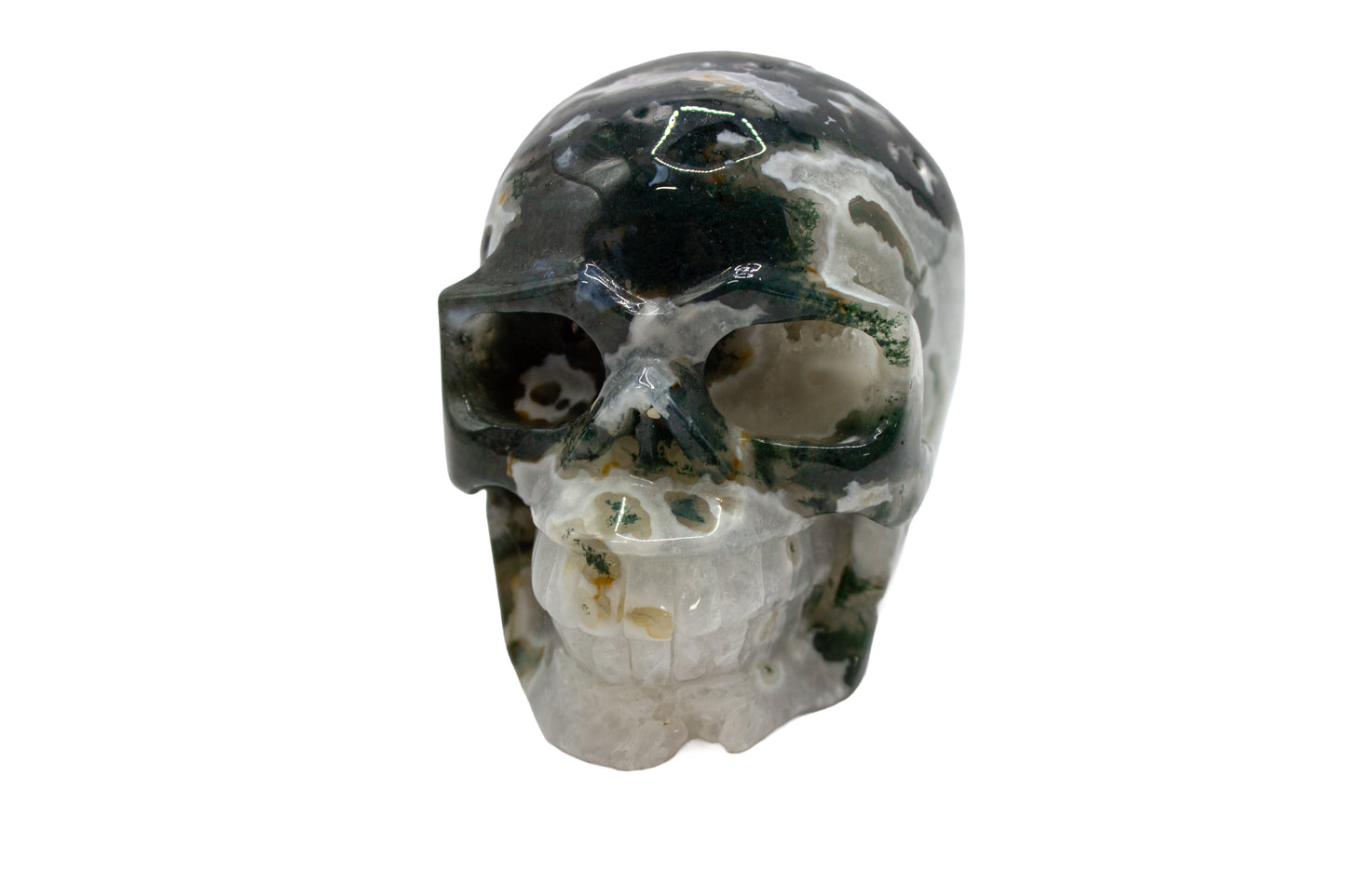 Moss Tree Agate Skull