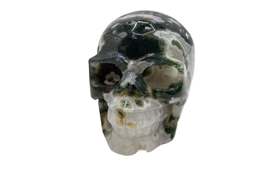 Moss Tree Agate Skull