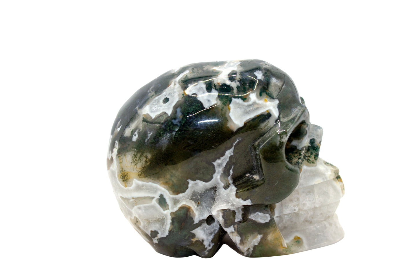 Moss Tree Agate Skull