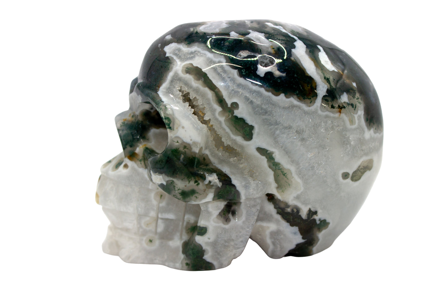 Moss Tree Agate Skull