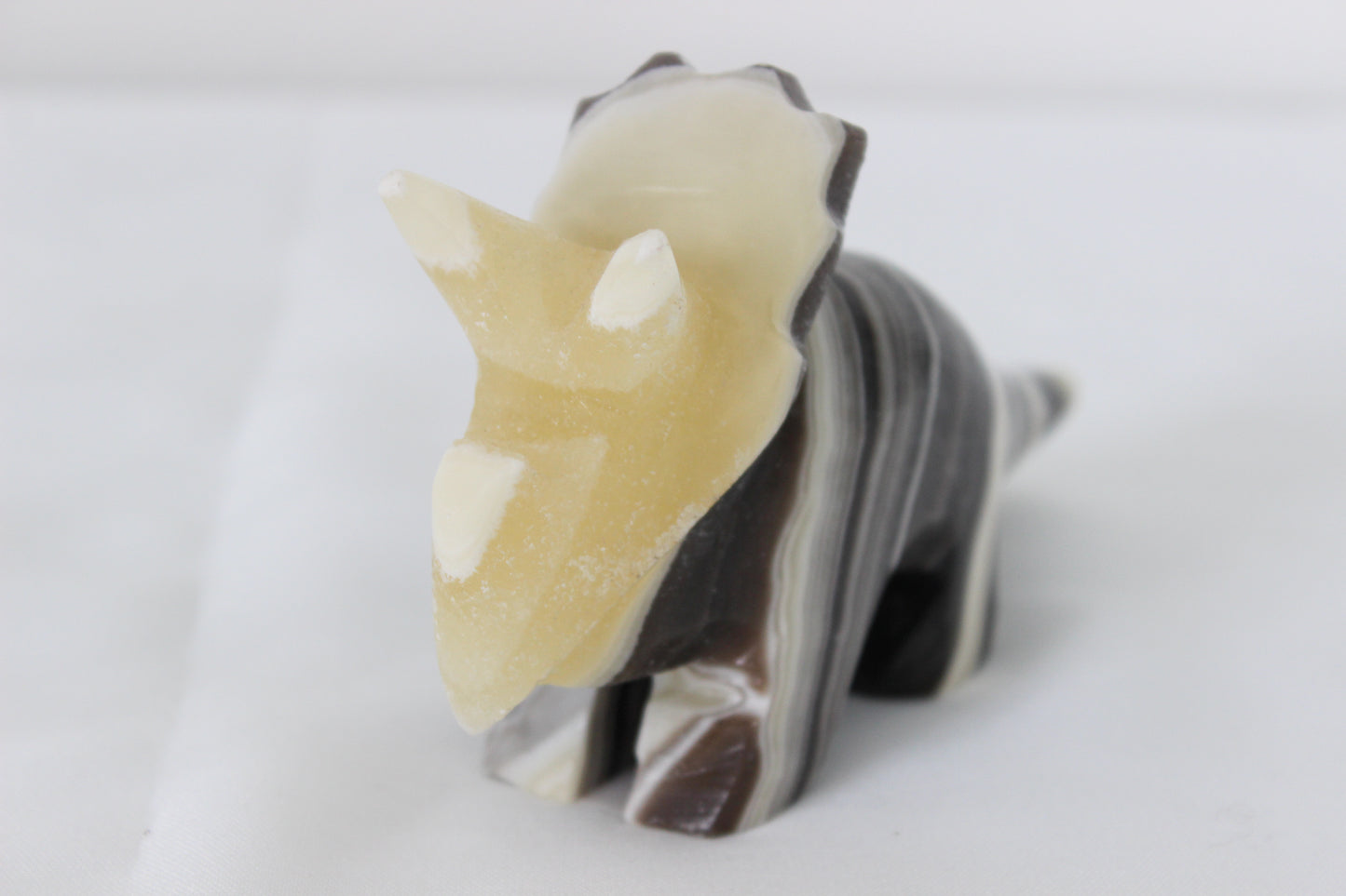 Zebra "Onyx" Triceratops