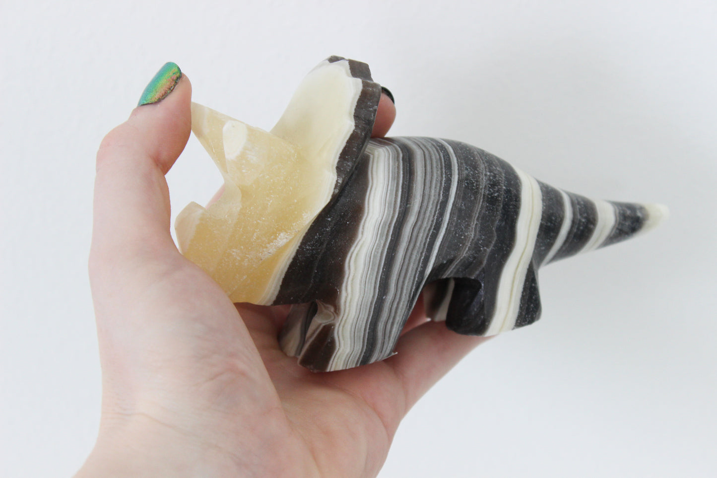 Zebra "Onyx" Triceratops