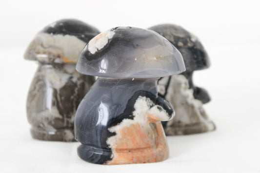 Fluorescent Agate Mushrooms